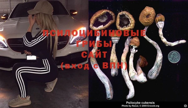 наркотики Абинск