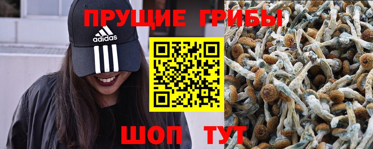 Псилоцибиновые грибы Magic Shrooms Магнитогорск