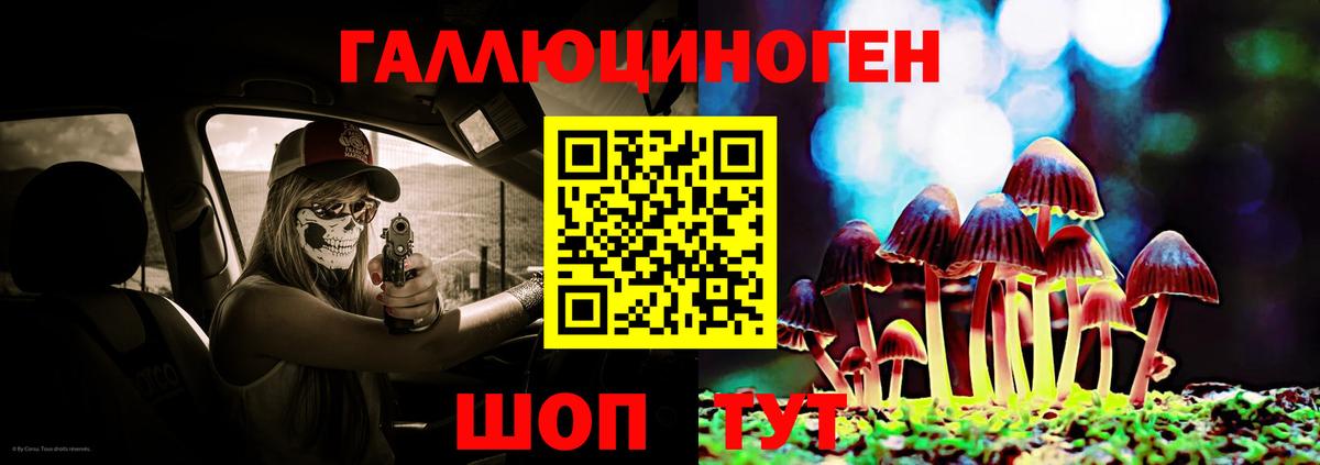 Магнитогорск  Галлюциногенные грибы Psilocybine cubensis  Вход с VPN 